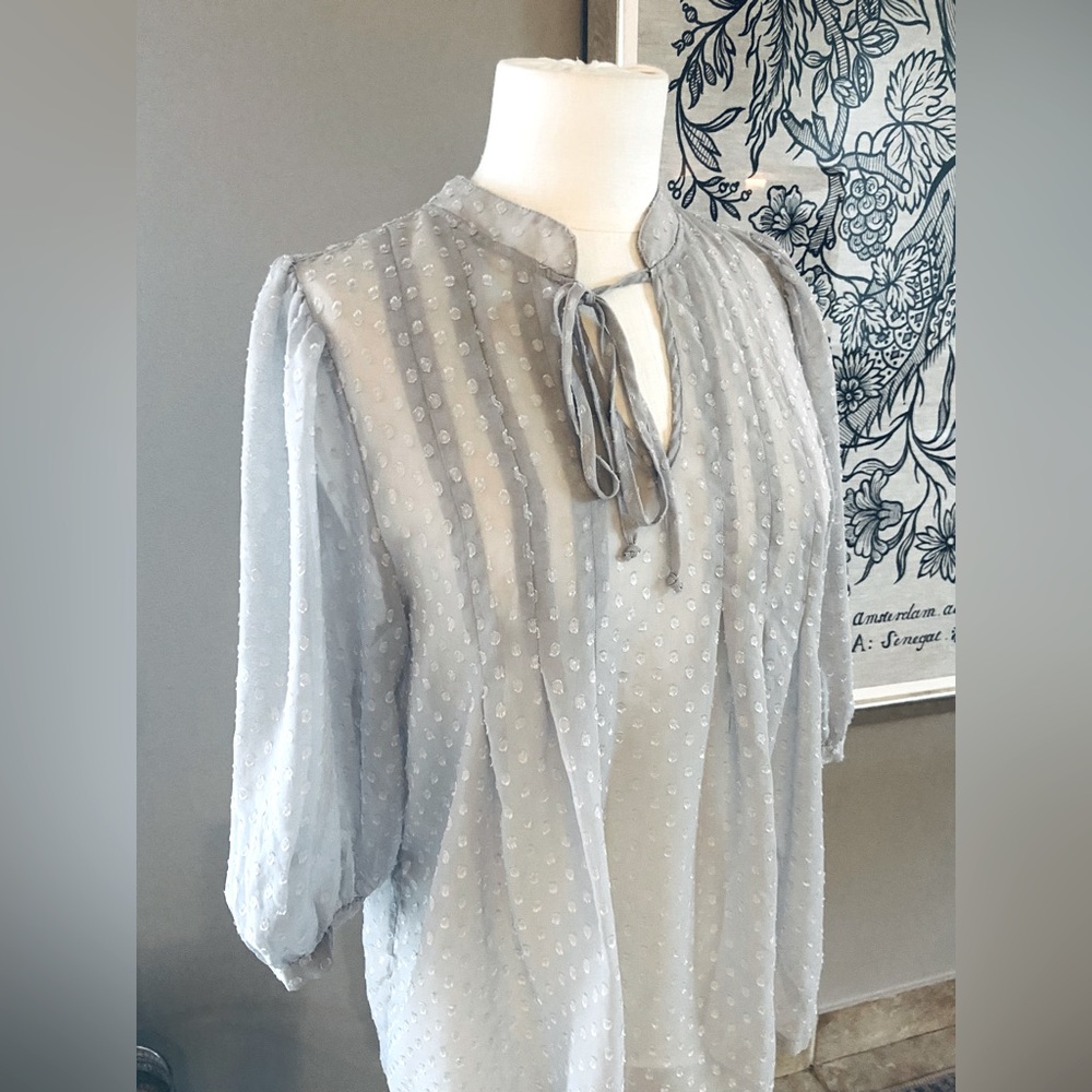 Daniel Rainn grey dot blouse
